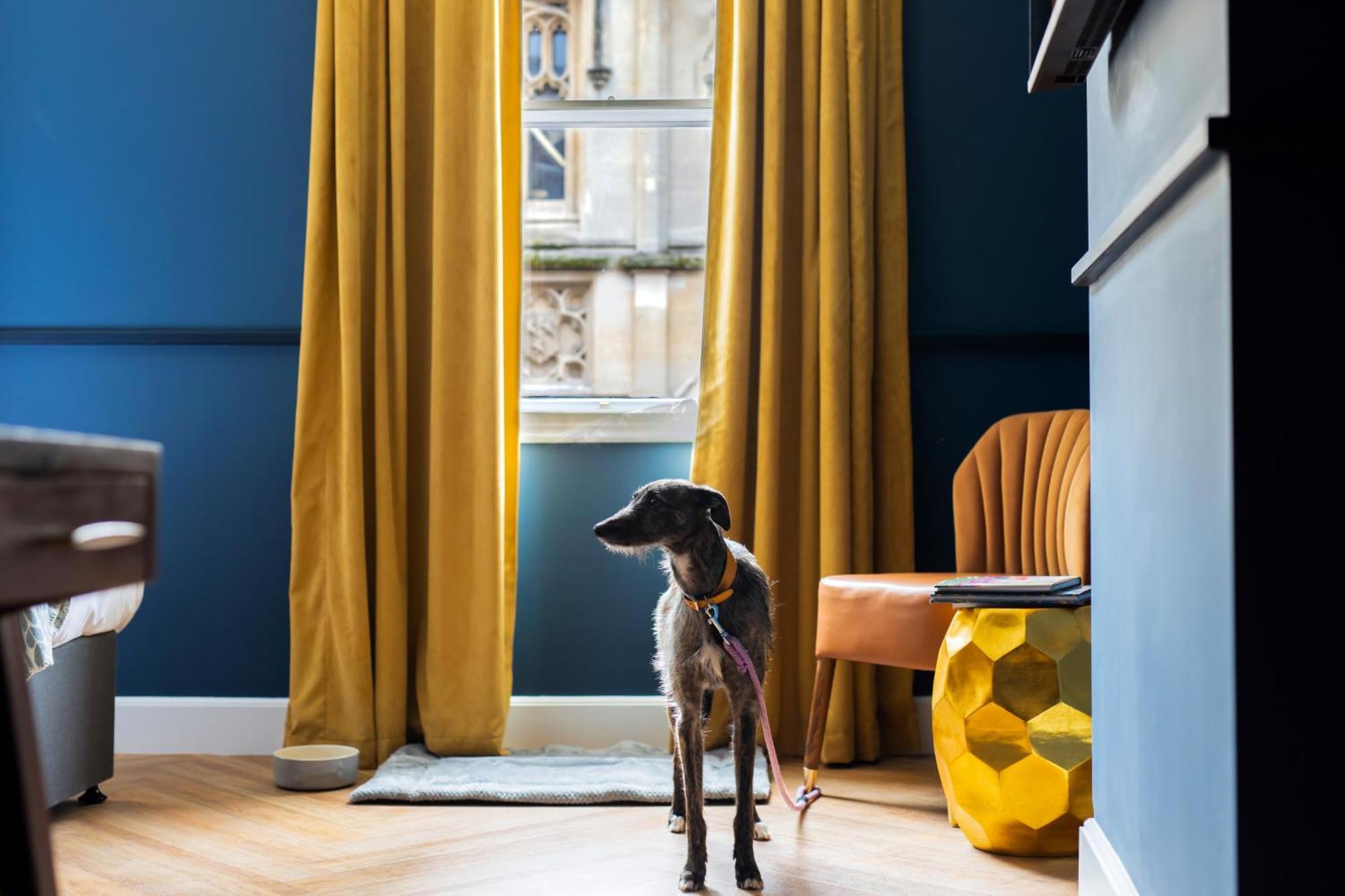 Hort'S Townhouse Otel Bristol Dış mekan fotoğraf